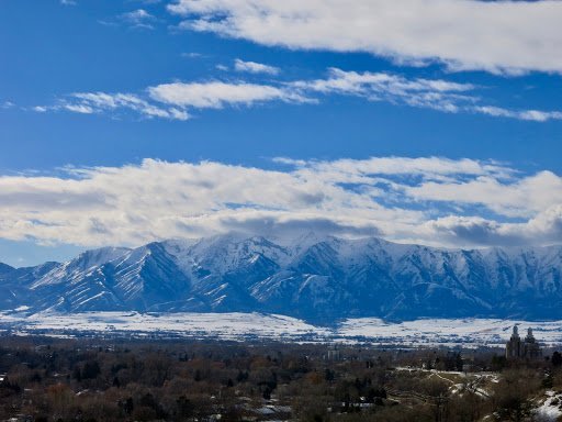 Dentists 6 Featured image