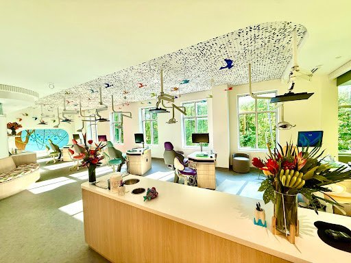 Dentist Cary - Cary Pediatric Dentistry 1 Featured image